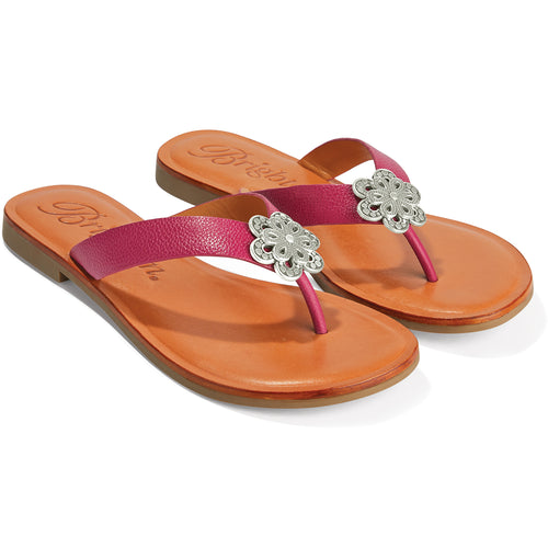 Aster Orchid Sandal